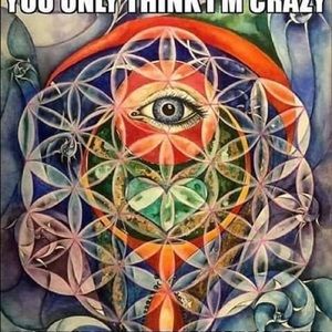 Meet your Posher, Demetria